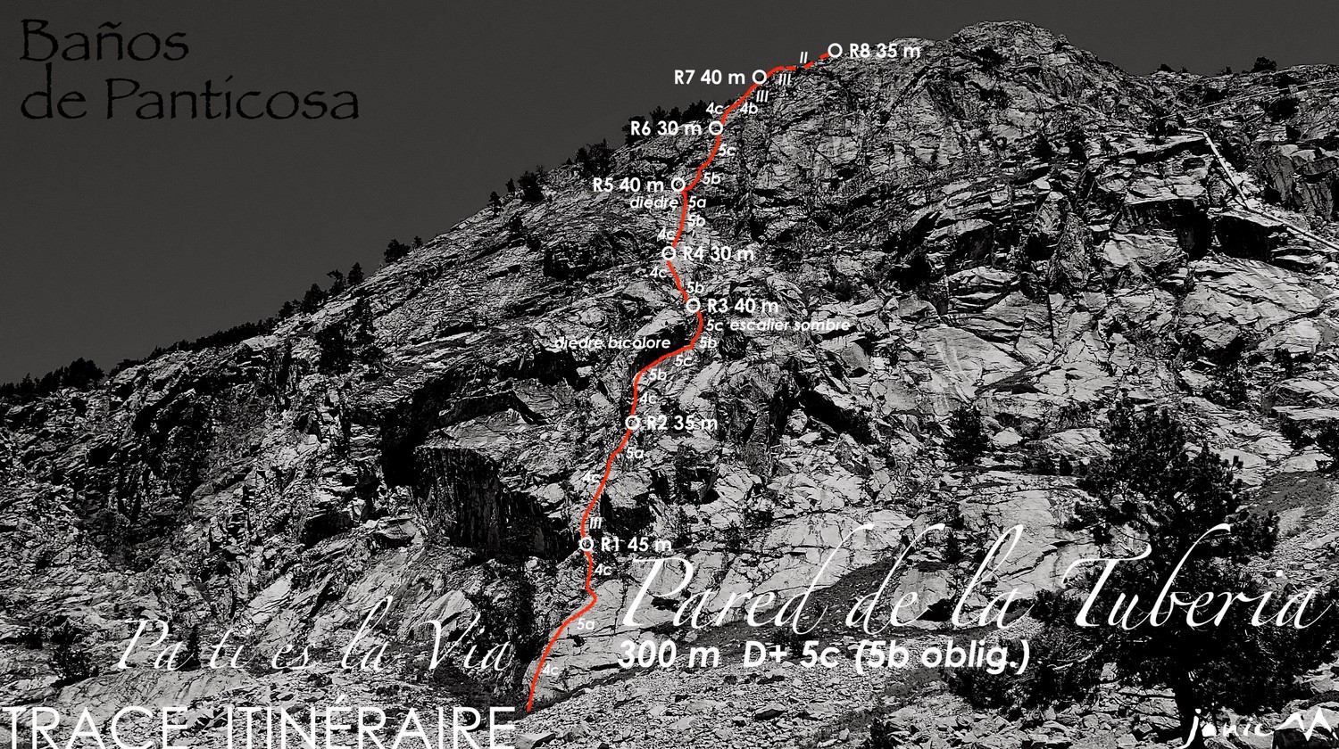 image_1